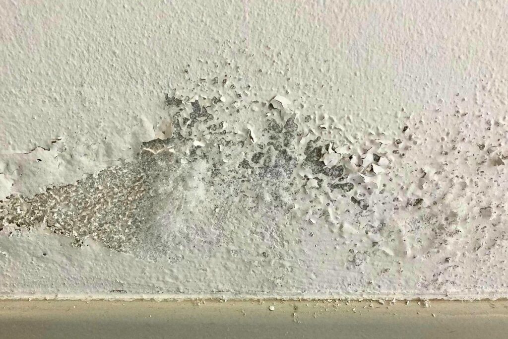 taux humidité maison quand il pleut